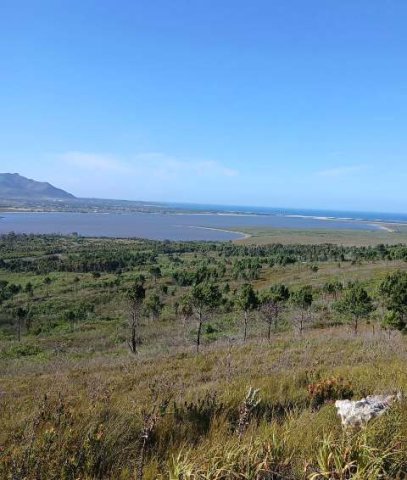 Bot River Estuary